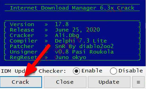 Internet Download Manager