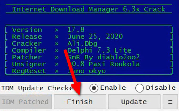 Internet Download Manager